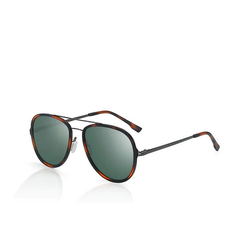 Ascot Polarized Sunglasses – Ivy